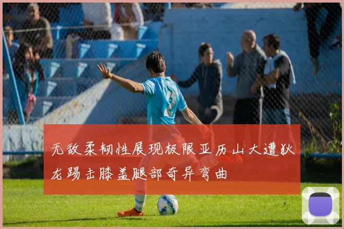 无敌柔韧性展现极限亚历山大遭狄龙踢击膝盖腿部奇异弯曲